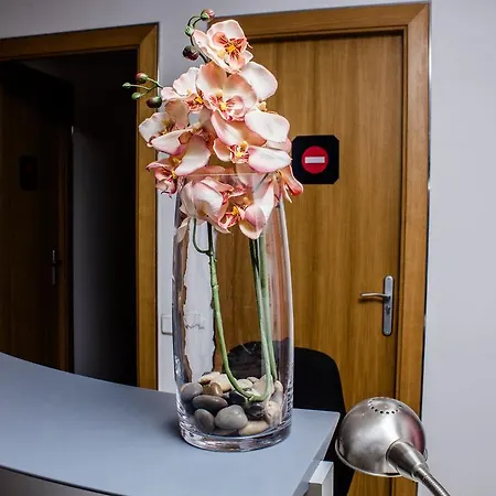 Auberge de jeunesse Cool & Chic
